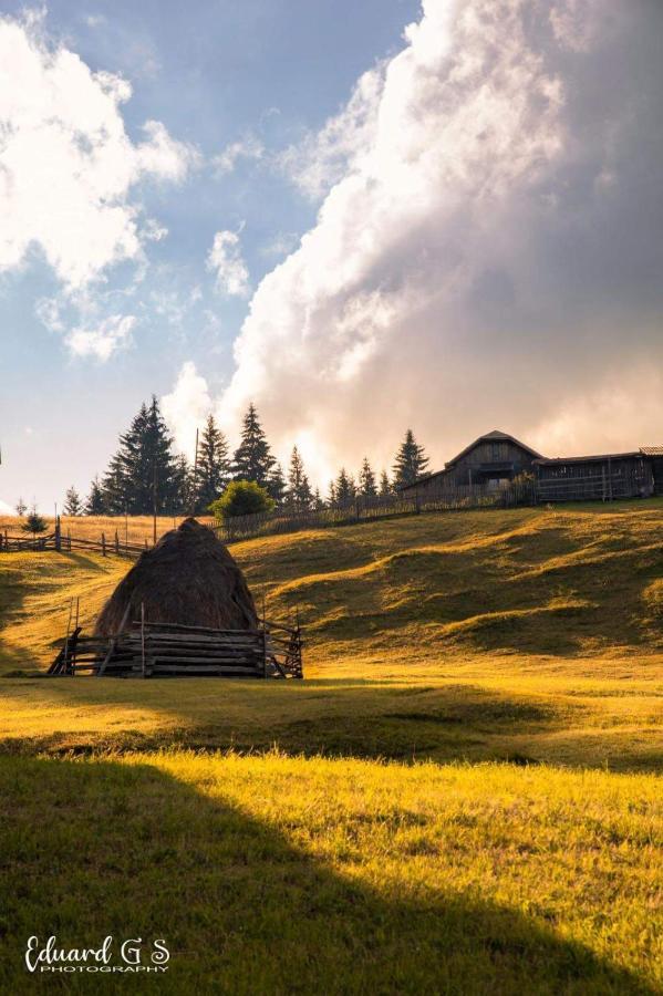 Pensiunea Viorica Fundu Moldovei Exterior foto