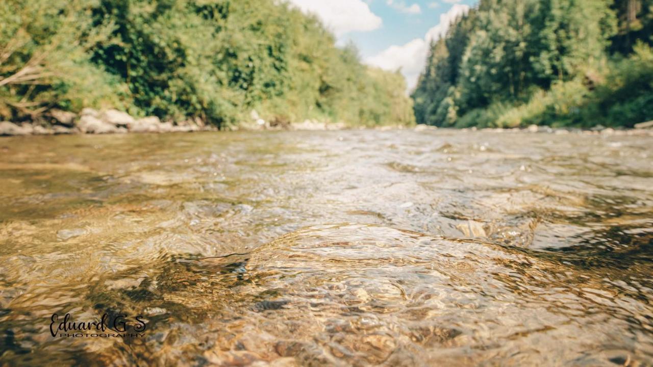 Pensiunea Viorica Fundu Moldovei Exterior foto