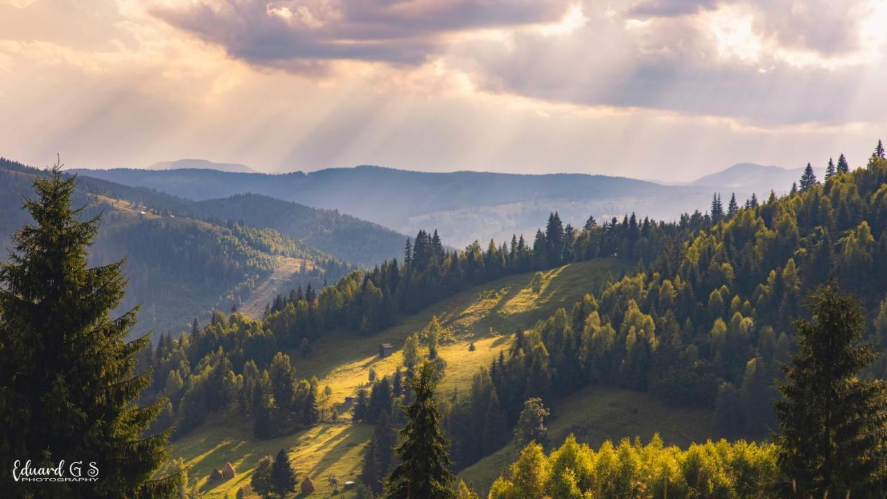 Pensiunea Viorica Fundu Moldovei Exterior foto