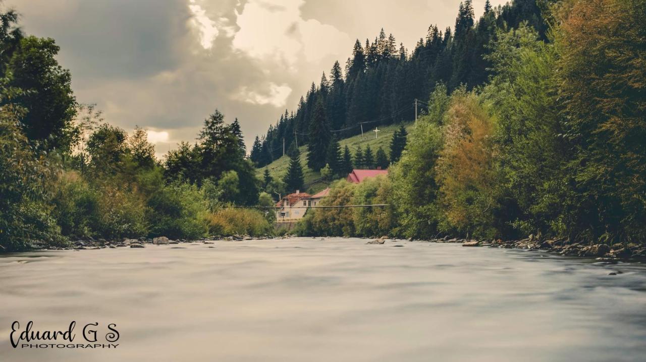 Pensiunea Viorica Fundu Moldovei Exterior foto